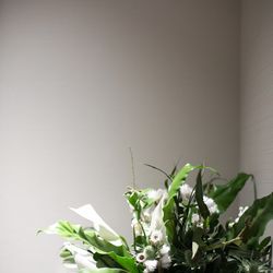 ザ・ガーデンオリエンタル大阪の写真13枚目