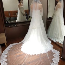 WD最終フィッティング