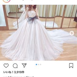 琵琶湖汽船ウェディングの写真1枚目