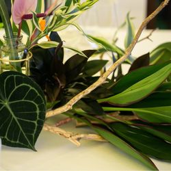 ザ・ガーデンオリエンタル大阪の写真1枚目