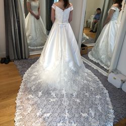 ステラ・デル・アンジェロの写真15枚目