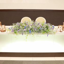 wedding_0817mmさんの披露宴・挙式カバー写真