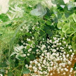 メゾン プルミエールの写真2枚目