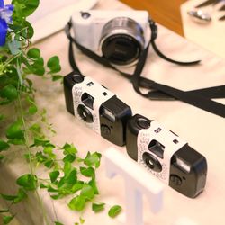 ブルー:ブランの写真28枚目