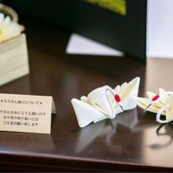 カノビアーノ 福岡の写真20枚目