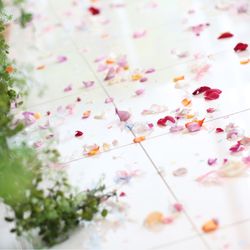 ララシャンス 博多の森の写真15枚目