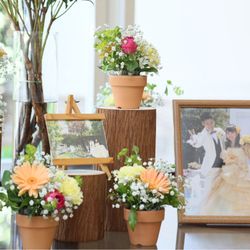 ララシャンスベルアミー 鳥栖の写真15枚目