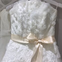 葵の教会の写真11枚目