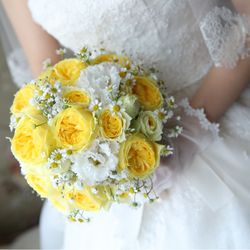 キャメロットヒルズの写真24枚目