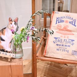 TRUNK HOTELの写真23枚目