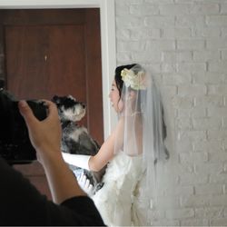 八芳園の写真5枚目