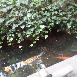 ザ・カワブンナゴヤの写真12枚目