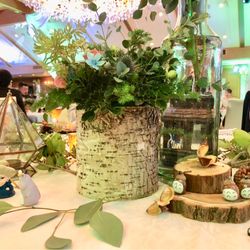 ドリーマーベイシャトーの写真12枚目