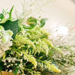 メゾン プルミエールの写真1枚目