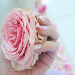 ザ・テラス バイ・ザ・シー カウイチャペルの写真13枚目