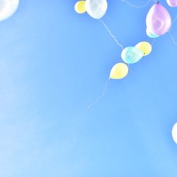 ニーズ青山 by T&G WEDDING の写真1枚目