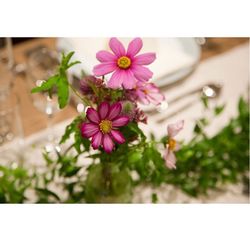 ラシック アンジュールの写真22枚目