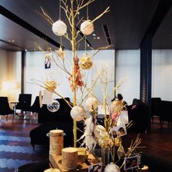 カノビアーノ 福岡の写真4枚目