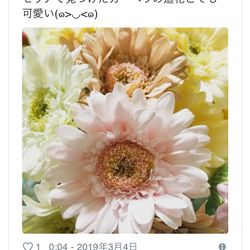 EXEX GARDEN 代官屋敷  since 1865の写真12枚目