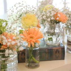 ララシャンスベルアミー 鳥栖の写真17枚目