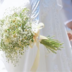 アニヴェルセル 豊洲の写真6枚目