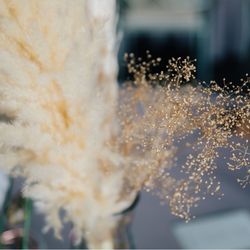 リバーバンク大阪の写真22枚目