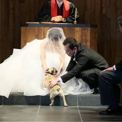 TRUNK HOTELの写真8枚目