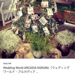 ザ・カワブンナゴヤの写真20枚目