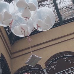 マナーハウス エリザベートの写真23枚目