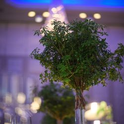 名古屋マリオットアソシアホテルの写真28枚目