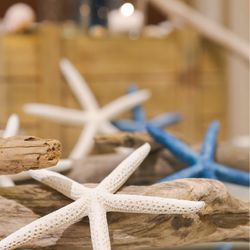 アニヴェルセル 東京ベイの写真21枚目