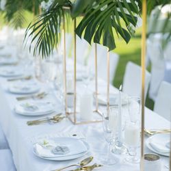 サイレントクラブの写真8枚目