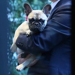 TRUNK HOTELの写真25枚目