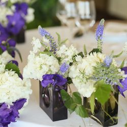 ラ・フェット ひらまつの写真2枚目