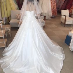 リビエラ逗子マリーナの写真22枚目