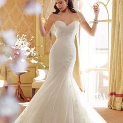 アクアガーデンテラスの写真24枚目