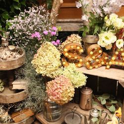 ドリーマーベイシャトーの写真3枚目