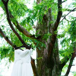 鶴見ノ森 迎賓館の写真36枚目