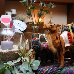 表参道TERRACEの写真26枚目