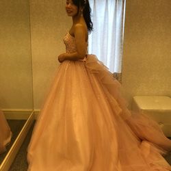 アートグレイス ネクスト アシヤの写真12枚目