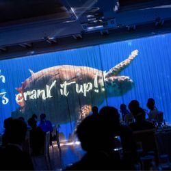 再入場前に流れるモーションカーテン