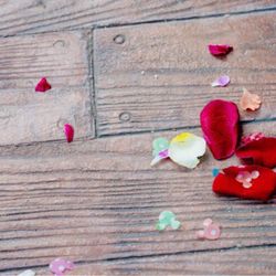 ザ・ロイヤルクラシック福岡の写真14枚目