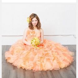 セント・オルコット ガーデンの写真16枚目