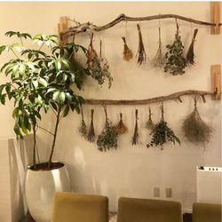 ザ クラシカ ベイリゾートの写真5枚目