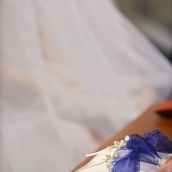 ブルー:ブランの写真24枚目