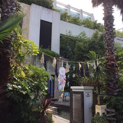 表参道TERRACEの写真11枚目