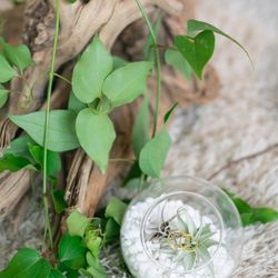 THE BEACHの写真9枚目