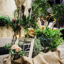 シエル べル テールの写真12枚目