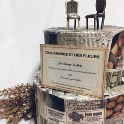 クレアージュ リゾートの写真6枚目