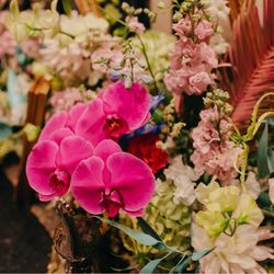 百花籠の写真4枚目